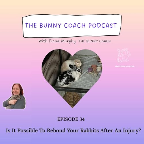 #35 - Is It Possible To ReBond Your Rabbits After An Injury?