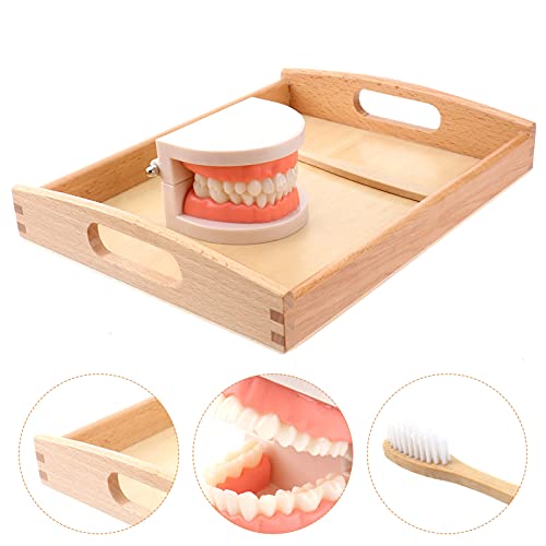 Image of STOBOK Kids Toothbrush Set Montessori Teeth Brushing Toy with Wooden Brushes and Tray Educational Practical Life Model for Toddlers Preschool