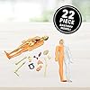 41pvwlgytal - Virtual Reality Human Body - Illustrated Interactive VR Book and STEM Learning Activity Set