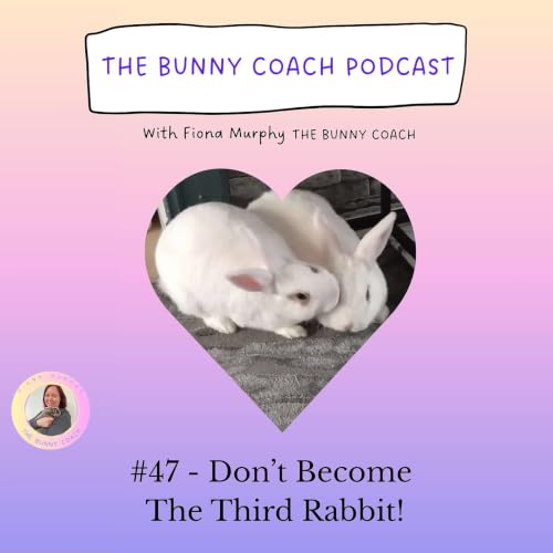 #47 - Don't Become The Third Rabbit in your Pair Bond!