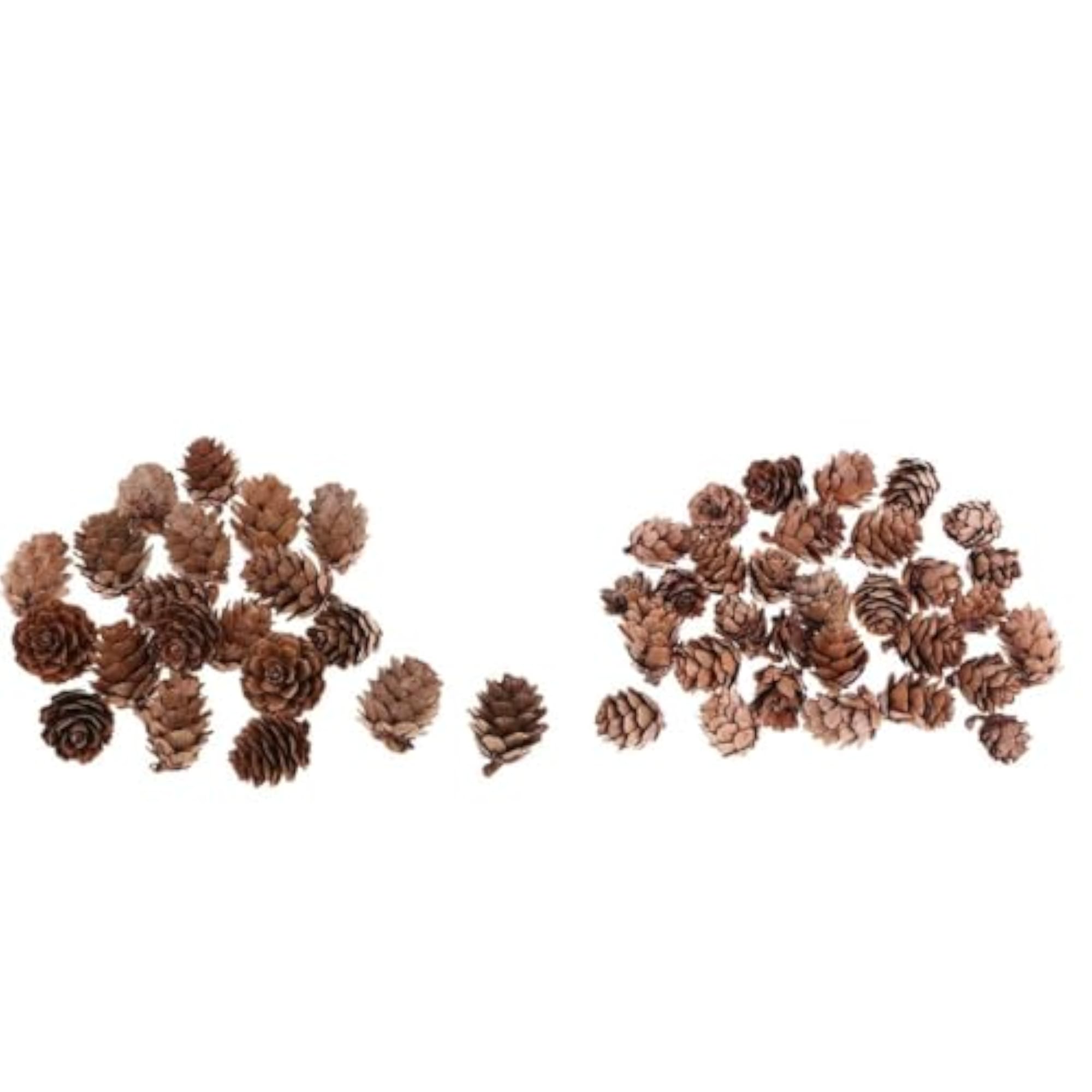 Big and Small Pine Cones Craft Set for DIY Projects