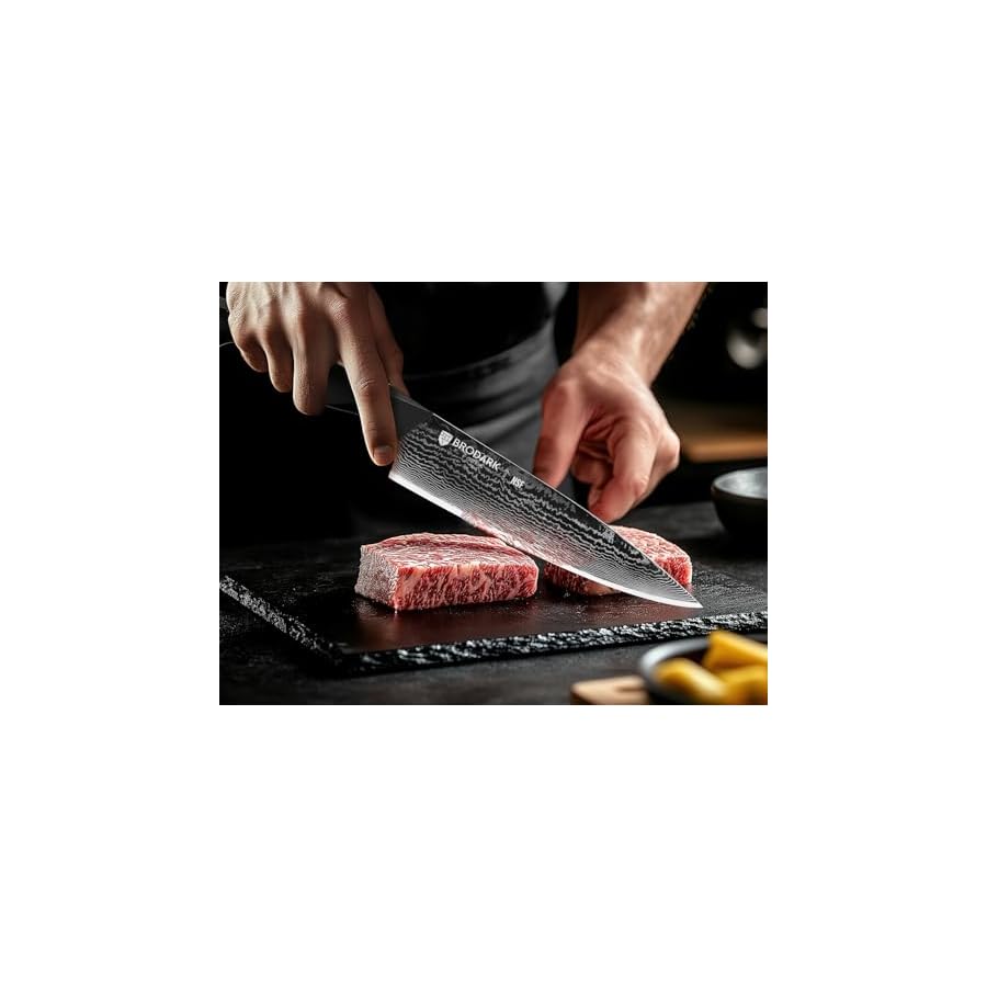 BRODARK Knife Set, Damascus Kitchen Knife Set with Block, 9 Pieces Sharp Professional Japanese Chef Knives with Ergonomic Full-Tang ABS Handle for Home, Restaurant -Christmas Gift, Dark Horse Series