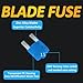 100PCS Micro 2 Blade Fuse ATR/APT Micro2 Fuse ATR/APT Blade Fuse Kit for Car Boat Truck SUV Automotive Replacement Fuses (100 PCS)
