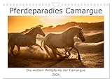 Pferdeparadies Camargue (Wandkalender 2026 DIN A4 quer), CALVENDO Monatskalender