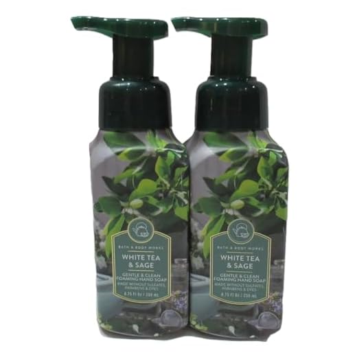 Bath & Body Works Bath and Body Works White Tea & Sage Gentle Foaming Hand Soap 8.75 Ounce 2-Pack (White Sage) 17.5 Ounce