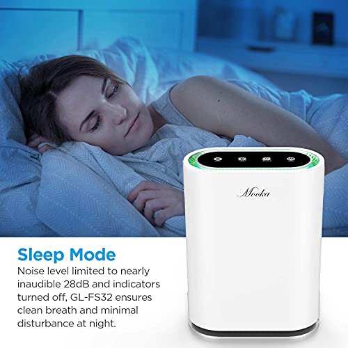 Mooka Gl-Fs32 True Hepa+ Large Room Air Purifier Bundle With Epi810 Portable Small Room Air Purifier #TOP4