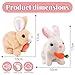 Imagen de 2 Piezas Conejo de Peluche electrónico Pascua