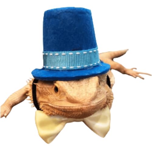 earded Dragon Clothes Small Animal Bow Ties Chapéus para Animais de Estimação Roupa Cosplay Legal Ka