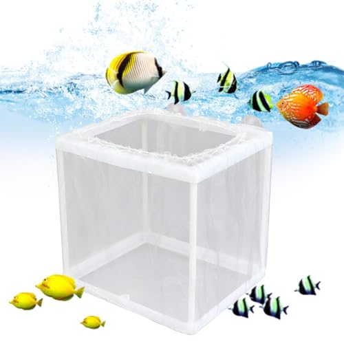 Fischzüchterbox - Netzbox für Fischbrüter, Netzbox für Fischbrüter, Netzbox für Brutkasten für DIY Aquarium | Trennnetz für Jungfische, Brutkasten