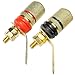CESS Gold-Plated Binding Post - Red & Black, Knurled Anti-Slip Knob, 10-Pack, Solder or Screw Wire Connection, Panel/PCB Mount for Speakers, Power Supply, Signal Testing
