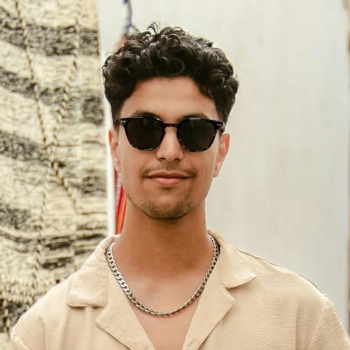 FEISEDY Classic Polarized Sunglasses Retro Round Sunglasses for Women Men Trendy Shades B00023