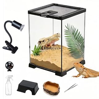 Ysislybin kit terrarium verre 30 x 20 x 30 cm avec 7 accessoires