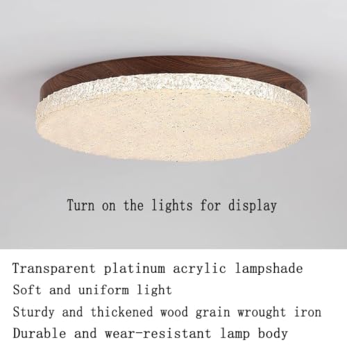 Plafonnier LED moderne dimmable avec télécommande pour salon modèle B