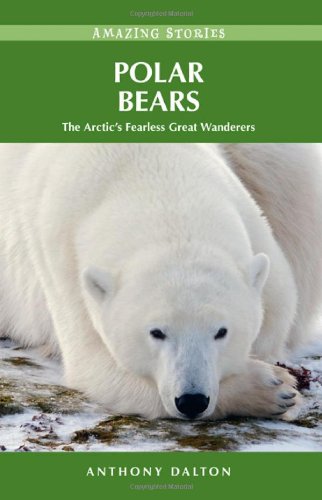 Buy Polar Bears: The Arctic's Fearless Great Wanderers (Amazing Stories) — BookShops.in