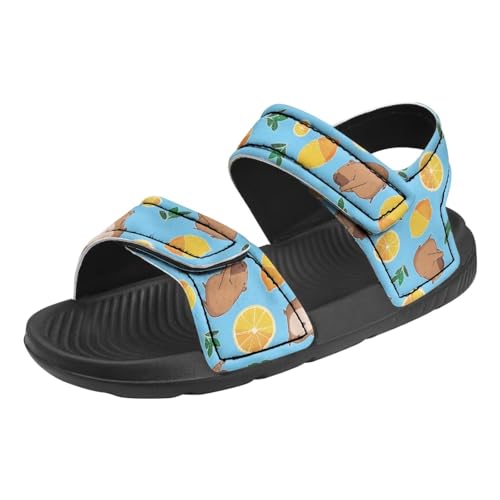 Kids Capybara Sandals Open Toe Water Shoes US 5 Boys and Girls Athletic Outdoor Sport Sandals Quick Dry Summer Shoes