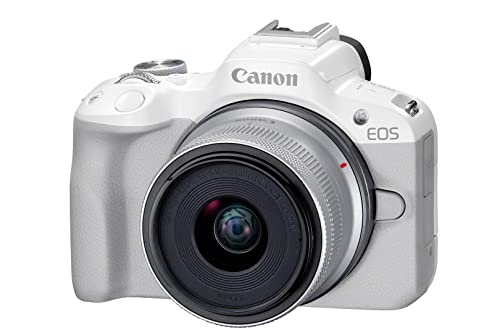 Che tu stia realizzando scatti di persone, animali o veicoli fermi o in movimento, EOS R50 rileva e insegue in modo istintivo il tuo soggetto grazie alla funzione Dual Pixel CMOS Auto Focus II