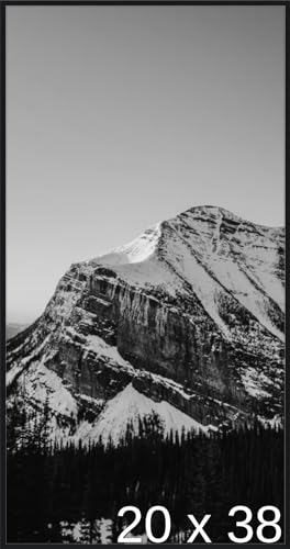 Frame It Easy 20 3/4 x 38 3/4 Satin Black Metal Frame (Ashford) 20.7x38.7 inches