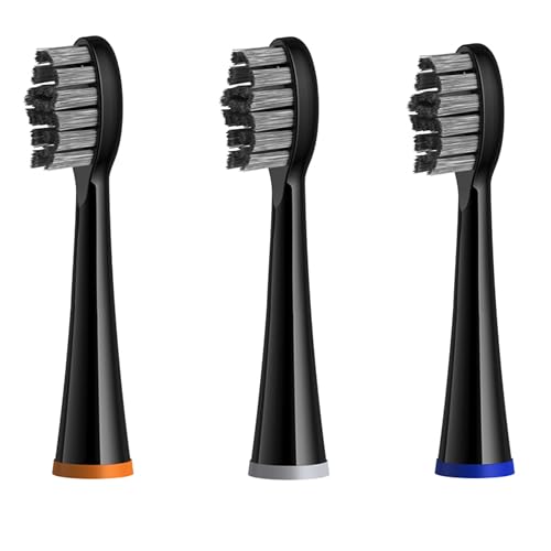 Hydropulseur avec brosse à dents blanc pour un soin bucco-dentaire complet à la maison