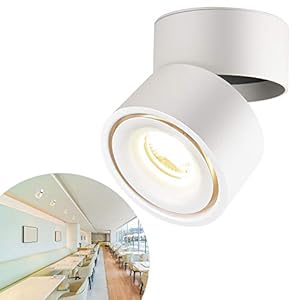 CPROSP Spot en Saillie Orientable 10W LED Spots de Plafond Plafonnier Aangle Réglable Applique de Plafond Lampe COB, Rotative à 360 ° (Blanc Naturel 4000k), Blanc