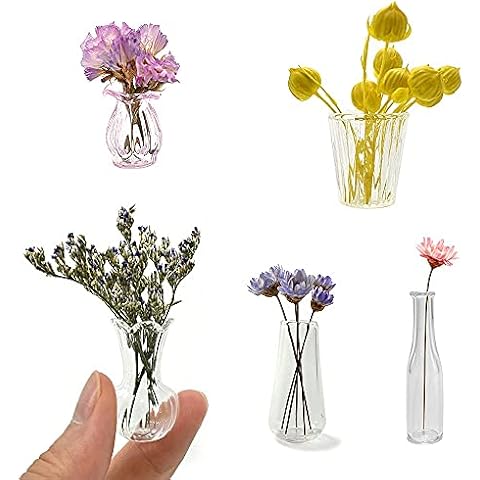 iLAND Dollhouse Glass Vases Set Cover