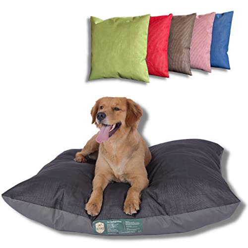 Bodhi2000® Haustierbett Für Hunde & Katzen – Mit Spitzendekor, Weich & Warm, Größe 46x43 Cm