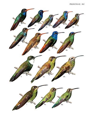 Guia completo para identificação das aves do Brasil Vol. 1