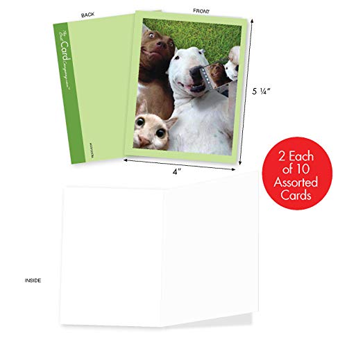 The Best Card Company - 20 Blank Note Cards With Envelopes (4 X 5.12 Inch) - All Occasion Animal Card Assortment (10 Designs, 2 Each) - Animal Selfies Am2373Ocb-B2X10 #TOP1