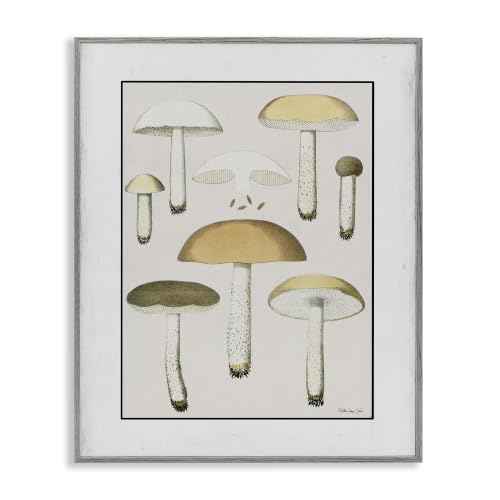 Woodland Mushroom Botanical Study, 11 x 14 Inch Framed Giclée Print
