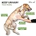 Deley Naturals Dog UTI Chews - Vet-Grade Cranberry Supplement for Dogs with D-Mannose & Echinacea for Bladder & Urinary Tract Health - Urinary Tract Supplements for Small to Large Breeds - 120 Chews