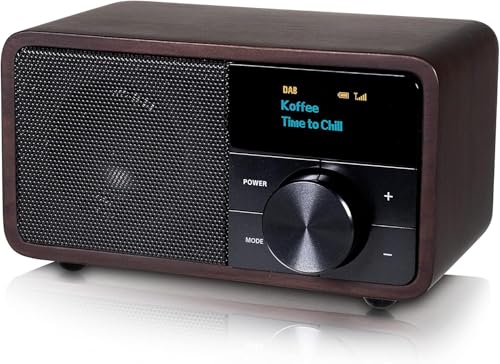Kathrein DAB+ 1 Mini I DAB Plus Radio mit Akku I Digitalradio DAB+ & UKW mit Bluetooth, Aux 3,5mm I Küchenradio, Badradio I Tragbares Radio als Lautsprecher für Streaming I Retrodesign Holz dunkel