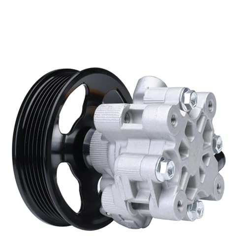 KALANBAY 201042 Power Steering Pump w/Pulley & Inlet line For