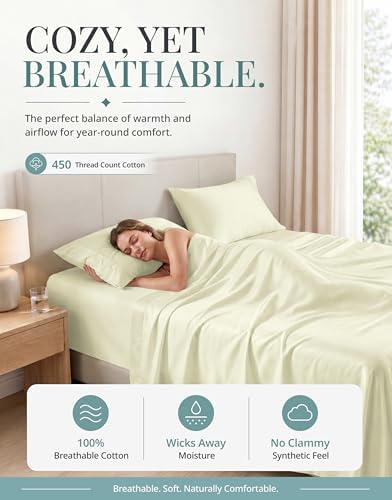 Lane Linen 100% Cotton King Size Sheet Set β 450 Thread Count Soft & Breathable Cooling Sateen Bed Sheets with Deep Pockets β 4-Piece Bedding Set β Ivory - 1