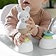 Ingenuity, Step & Sprout 3-in-1 Baby Lauflernhilfe, First Forest, Lauflernwagen mit Natur inspirierten Spielzeuge, höhenverstellbar, zusammenklappbar, einfach zu reinigen, ab 6 Monaten
