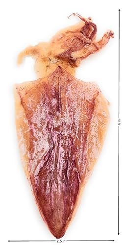 SaCa Food Dried Squid, Size Small, 150g (5.30 oz)