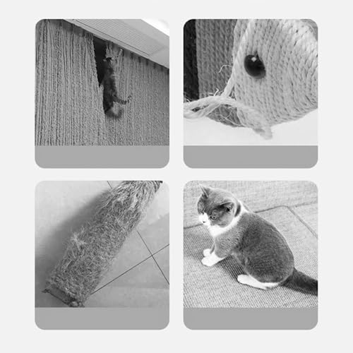 Grattoir pour chaton dauphin pour stopper les griffures de canapé