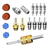 Zosgrew 17 PCS Air Conditioning Valve Core Kit, R12 R134A A/C Ducts Pressure Caps and Service Valves, Universal Valve Core A/C Refrigeration SystemKit, for Most Cars (Multicolored)