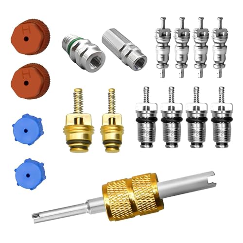 Zosgrew 17 PCS Air Conditioning Valve Core Kit, R12 R134A A/C Ducts Pressure Caps and Service Valves, Universal Valve Core A/C Refrigeration SystemKit, for Most Cars (Multicolored)