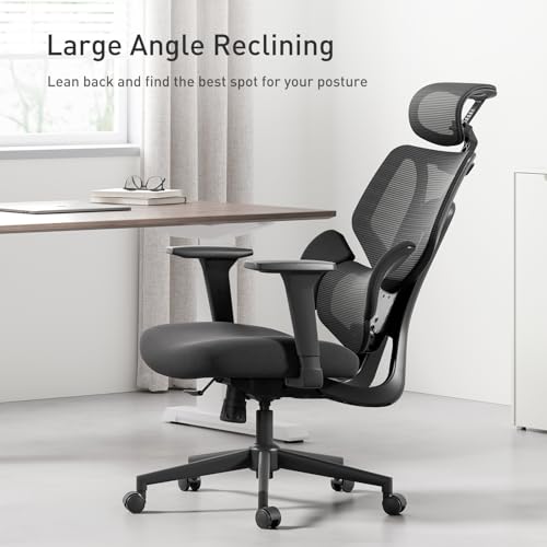 Ergonomic Office Chair with Back Support and Rocking Function for Computer Desk (Black)