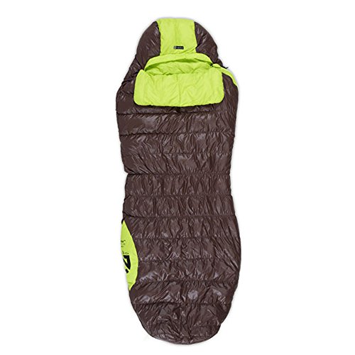 Nemo Equipment Inc. Salsa 30 650-fill DownTek Sleeping Bag: Bark/Key Lime