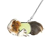 MANON ROSA Rabbit Harness and Leash Set - Adjustable Escape-Proof Training and Walking Gear for Guinea Pigs Bunnies Chinchillas Hamsters Ferrets Rats Kittens and Small Dogs Puppies Cats (Green,S)