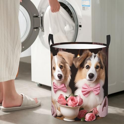 Panier à linge pliable pour chien autonome et robuste avec poignées