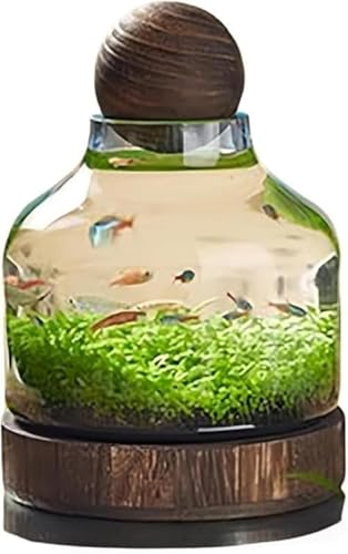 GEBYUI {g hXP[v & k͔|p ؐgCt  GRf }CNhXP[vɍœK ƒpCeA ӁEe[uuΉ