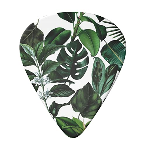 Tropical Leaves Lot de 6 médiators pour guitare acoustique, guitare électrique, basse, ukulélé – fins, moyens et épais. - Les Beatles, Paul McCartney, John Lennon, RIngo Starr, George Harrison Tropical Leaves Lot de 6 médiators pour guitare acoustique, guitare électrique, basse, ukulélé – fins, moyens et épais. – Image 4