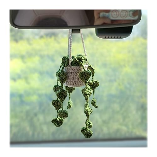 JNNJ Plante à Suspendre Au Crochet pour Voiture, Suspendre Mignonnes Au Crochet pour Rétroviseur...