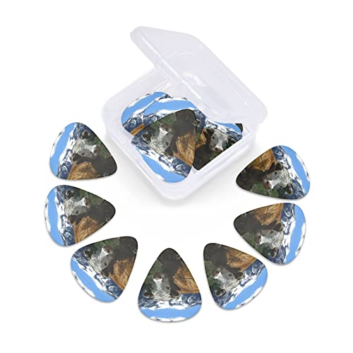 Ensemble de 12 médiators de guitare vache Animal de ferme pour guitare acoustique, guitare électrique, contrebasse… - Les Beatles, Paul McCartney, John Lennon, RIngo Starr, George Harrison Ensemble de 12 médiators de guitare vache Animal de ferme pour guitare acoustique, guitare électrique, contrebasse… – Image 7