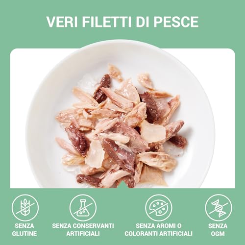 Schesir, Thunfischfilets mit Aloe in Gelee, ergänzendes Nassfutter für Katzen, Originalrezept, 100% natürlich, 12 Dosen à 70 g