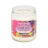 Smoke Odor Exterminator 13 Oz Jar Candle Patchouli