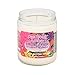 Smoke Odor Exterminator 13 Oz Jar Candle Patchouli