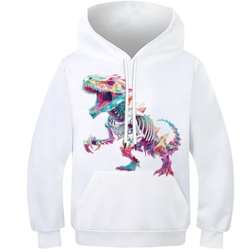 Sweat à capuche dinosaure pour enfant de 13 à 15 ans avec grande poche avant