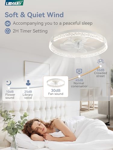 Image of LEDIARY 19.7 inch Low Profile Ceiling Fans with Lights, APP & Remote, White